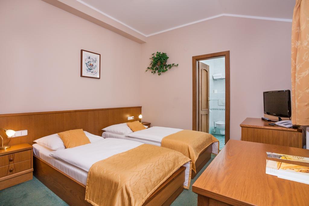 Hotel Jelinkova Vila Velke Mezirici Room photo